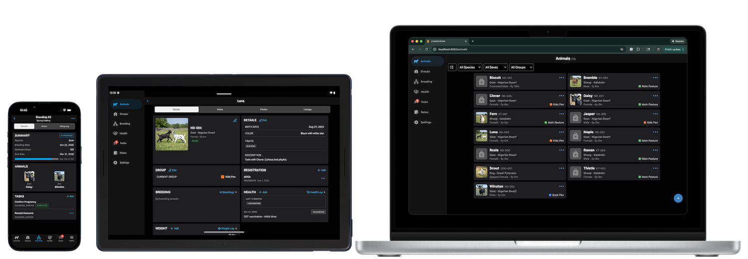 Anybreed running on phone, tablet, and web