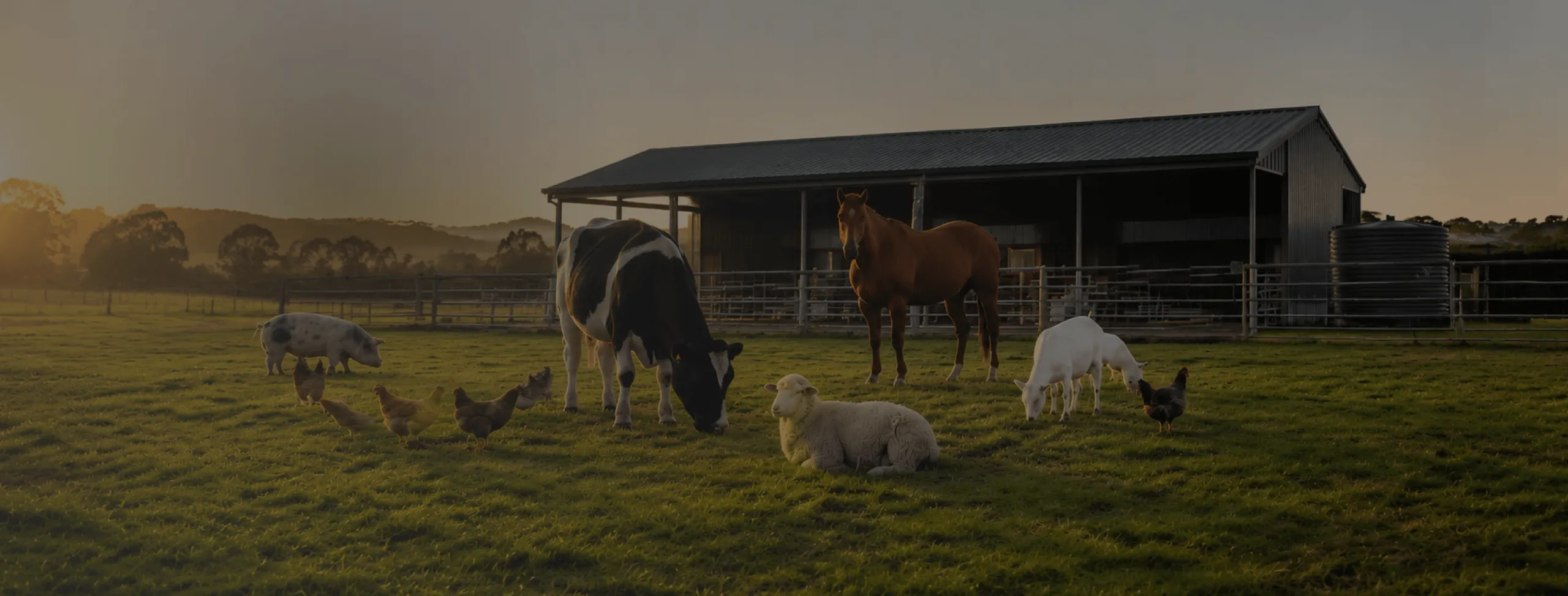 A mixed farm at golden hour with a pig, chickens, a cow, a horse, and a sheep grazing by a barn